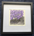 Jacaranda